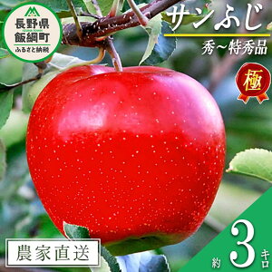 yӂ邳Ɣ[Łz ɂ݃Tӂ 3kg ̓y V_ ւ͔zs k ʕ t[c ь  \ _ƒ 3L 17500~ lyߘa7Nxnz F2025N11{