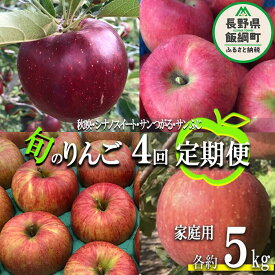 【ふるさと納税】 旬のりんご 【 定期便 】 家庭用 5kg × 4回 丸西農園 沖縄県への配送不可 令和6年度収穫分 特別栽培農産物 長野県 飯綱町 〔 信州 果物 フルーツ リンゴ 林檎 長野 52000円 予約 農家直送 〕発送時期：2024年9月上旬～2024年12月下旬