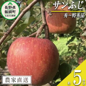 yӂ邳Ɣ[Łz  Tӂ G ` G 5kg ې_ ꌧzs ߘa7Nxn ʍ͔|_Y (  w엿 sgp ) 쌧 эj k MB ʕ t[c S ь 