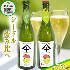 【ふるさと納税】 りんご シードル 辛口 ＆ 甘口 各1本 セット ( 750ml × 2本 ) やまじゅうファーム 信州の環境にやさしい農産物 減農薬栽培 長野県 飯綱町 〔 飲料 酒 アルコール りんご リンゴ 林檎 信州 23000円 〕