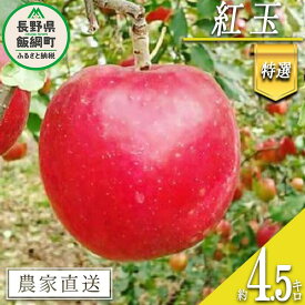 【ふるさと納税】 りんご 紅玉 特選 4.5kg やまじゅうファーム 沖縄県への配送不可 令和6年度収穫分 信州の環境にやさしい農産物 減農薬栽培 長野県 飯綱町 〔 信州 果物 フルーツ リンゴ 林檎 長野 18000円 予約 農家直送 〕発送時期：2024年10月上旬～2024年10月中旬{***}