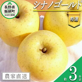 【ふるさと納税】 りんご シナノゴールド 特選 3kg やまじゅうファーム 沖縄県への配送不可 令和6年度収穫分 信州の環境にやさしい農産物 減農薬栽培 長野県 飯綱町 【 信州 果物 フルーツ リンゴ 林檎 長野 15000円 】発送時期：2024年11月中旬～2024年11月下旬{***}