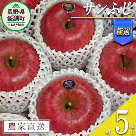 【ふるさと納税】 りんご サンふじ 極選 5kg やまじゅうファーム 沖縄県への配送不可 令和6年度収穫分 信州の環境にやさしい農産物 減農薬栽培 長野県 飯綱町 【 信州 果物 フルーツ リンゴ 林檎 長野 】発送時期：2024年12月上旬～2024年12月下旬