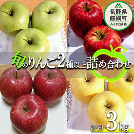 【ふるさと納税】りんご 旬の2品種以上 3kg 等級なし やまじゅうファーム 沖縄へは配送不可 〔 果物 フルーツ 林檎 長野 予約 農家直送 3キロ 16000円 〕【令和7年度収穫分】 発送：2025年10月上旬〜