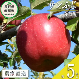 【ふるさと納税】 りんご サンふじ 家庭用 5kg ファームたんぽぽ 沖縄県への配送不可 令和6年度収穫分 長野県 飯綱町 〔 信州 果物 フルーツ リンゴ 林檎 長野 12000円 予約 農家直送 〕発送時期：2024年12月上旬～2025年1月中旬{**}