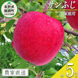 【ふるさと納税】 りんご サンふじ 家庭用 5kg 中村ファーム ( 中村りんご農園 ) 沖縄県への配送不可 令和6年度収穫分 長野県 飯綱町 〔 信州 果物 フルーツ リンゴ 林檎 長野 14000円 予約 農家直送 〕発送時期：2024年11月下旬～2025年3月上旬