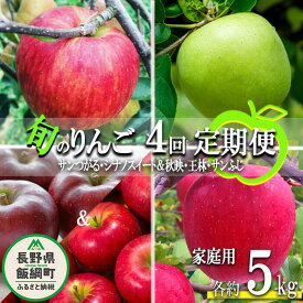 【ふるさと納税】 旬のりんご 〔 定期便 〕 家庭用 5kg × 4回 中村ファーム ( 中村りんご農園 ) 沖縄県への配送不可 令和6年度収穫分 長野県 飯綱町 〔 信州 果物 フルーツ リンゴ 林檎 長野 予約 農家直送 〕発送時期：2024年9月上旬～2025年3月上旬