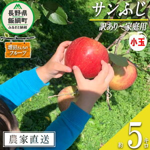 yӂ邳Ɣ[Łz  Tӂ ƒp (  ) 5kg c񂿂̂ ꌧւ̔zs ߘa7Nxn 쌧 эj k MB ʕ t[c S ь  \ _ƒ 13000~ 