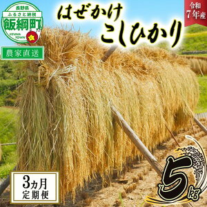 yӂ邳Ɣ[Łz  ͂ Ђ 5kg × 3 k 3  l( ߘa7NY ) c񂿂̂ ꌧւ̔zs 쌧 эj k RVqJ    MB \ _ƒ 