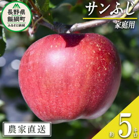 【ふるさと納税】 りんご サンふじ 家庭用 5kg ヤマハチ農園 沖縄県への配送不可 令和6年度収穫分 BLOF理論栽培 長野県 飯綱町 〔 信州 果物 フルーツ リンゴ 林檎 長野 13000円 予約 農家直送 〕発送時期：2024年11月中旬～2024年12月下旬 {**}