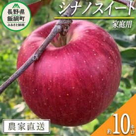 【ふるさと納税】 りんご シナノスイート 家庭用 10kg ファームトヤ 沖縄県への配送不可 令和6年度収穫分 長野県 飯綱町 〔 信州 果物 フルーツ リンゴ 林檎 スイート りんご3兄弟 長野 予約 農家直送 〕発送時期：2024年10月中旬～2024年11月上旬 {**}