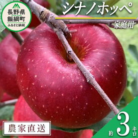 【ふるさと納税】 りんご シナノホッペ 家庭用 3kg ファームトヤ 沖縄県への配送不可 令和7年度収穫分 長野県 飯綱町 〔 信州 果物 フルーツ リンゴ 林檎 長野 13000円 予約 農家直送 〕発送時期：2025年11月上旬〜2025年11月下旬 {**}
