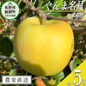 yӂ邳Ɣ[Łz  ܖ ƒp 5kg t@[g ꌧւ̔zs ߘa7Nxn 쌧 эj k MB ʕ t[c S ь   15000~ \ _ƒ l