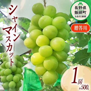 yӂ邳Ɣ[Łz Ԃǂ VC}XJbg p 1[ (  500g ) t@[gz͖{B ߘa7Nxn 쌧 эj k MB ʕ t[c uhE }XJbg   13000~ 