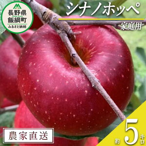 yӂ邳Ɣ[Łz  Vimzby ƒp 5kg t@[g ꌧւ̔zs ߘa7Nxn 쌧 эj k MB ʕ t[c S ь  15000~ \ _ƒ l