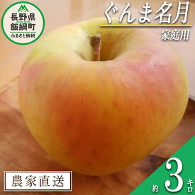【ふるさと納税】 りんご いいづな産 ぐんま名月 家庭用 3kg 大友農場 エコファーマー認定 沖縄県への配送不可 令和7年度収穫分 長野県 飯綱町 【 信州 果物 フルーツ リンゴ 林檎 長野 予約 農家直送 】発送時期：2025年11月上旬〜2025年11月末 {**}