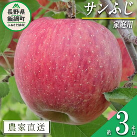 【ふるさと納税】 りんご 食べきり サンふじ 家庭用 3kg 大友農場 エコファーマー認定 沖縄県への配送不可 令和7年度収穫分 長野県 飯綱町 【 信州 果物 フルーツ リンゴ 林檎 長野 予約 農家直送 】発送時期：2025年12月中旬〜2026年1月末{**}