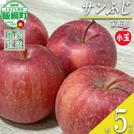 【ふるさと納税】【令和7年度収穫分】小ささに訳あり サンふじ（小玉）家庭用5kg　※沖縄県への配送不可　※2025年12月中旬頃から2026年1月上旬発送予定　大友農場　エコファーマー認定　長野県飯綱町