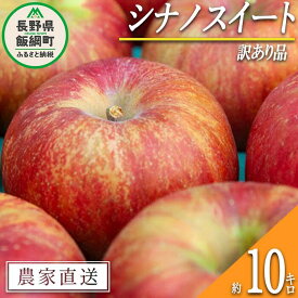 【ふるさと納税】 りんご シナノスイート 訳あり 10kg マルカズりんご農園 沖縄県への配送不可 令和6年度収穫分 長野県 飯綱町 〔 傷 不揃い リンゴ 林檎 果物 フルーツ 信州 長野 17000円 予約 農家直送 〕発送時期：2024年10月上旬～2024年11月上旬