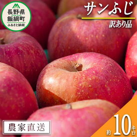 【ふるさと納税】 りんご サンふじ 訳あり 10kg マルカズりんご農園 沖縄県への配送不可 令和6年度収穫分 長野県 飯綱町 〔 傷 不揃い リンゴ 林檎 果物 フルーツ 信州 長野 18000円 予約 農家直送 〕発送時期：2024年11月下旬～2025年1月中旬