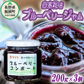 【ふるさと納税】 信州産 ブルーベリージャム （ プレザーブ スタイル ） 200g × 3個 沖縄県への配送不可 エコファーマー認定 関農園 長野県 飯綱町 〔 飯綱町産 信州 ブルーベリー ジャム コンポート 果実 フルーツ 11000円 〕