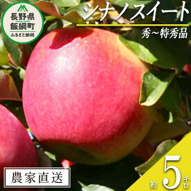 【ふるさと納税】 りんご シナノスイート 秀 ～ 特秀 5kg 関農園 沖縄県への配送不可 エコファーマー認定 令和6年度収穫分 長野県 飯綱町 〔 信州 果物 フルーツ リンゴ 林檎 長野 15000円 予約 農家直送 〕発送時期：2024年10月上旬～2024年11月上旬