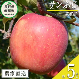 【ふるさと納税】 りんご サンふじ 家庭用 5kg 山岸ファーム 沖縄県への配送不可 令和7年度収穫分 長野県 飯綱町 〔 信州 果物 フルーツ リンゴ 林檎 長野 14000円 予約 農家直送 〕発送時期：2025年12月上旬〜2025年12月下旬頃 {**}