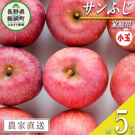 【ふるさと納税】 りんご サンふじ 家庭用 ( 小玉 ) 5kg 山岸ファーム 沖縄県への配送不可 令和7年度収穫分 長野県 飯綱町 〔 信州 果物 フルーツ リンゴ 林檎 長野 11000円 予約 農家直送 〕発送時期：2025年12月上旬〜2025年12月下旬 {**}
