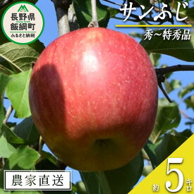【ふるさと納税】 りんご サンふじ 秀 〜 特秀 5kg 大垣農園 沖縄県への配送不可 令和7年度収穫分 長野県 飯綱町 〔 信州 果物 フルーツ リンゴ 林檎 長野 16000円 予約 農家直送 〕発送時期：2025年11月下旬〜2025年12月下旬 {***}