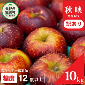 yӂ邳Ɣ[Łz  MB 󂠂 ʕ 10kg 5kg 2kg Hf  ۏ ӂ ZT[  s KiO  ƒp t[c 2kg 7000~ 12000~ 20000~ ΂ 10 2025