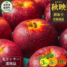 【ふるさと納税】 【令和6年度先行予約品】りんご 信州 訳あり 果物 10kg 5kg 3kg 秋映 長野 交換保証 感謝りんご 光センサー くだもの 不揃い 規格外 傷 傷あり 家庭用 フルーツ 林檎 5キロ あきばえ 10月 10月発送 R6年10月〜発送予定 長野県 飯綱町