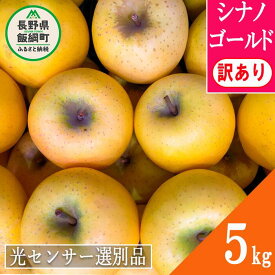 【ふるさと納税】 りんご 信州 【令和6年度先行予約品】 訳あり 10kg 5kg 3kg 果物 長野 シナノゴールド 交換保証 感謝りんご 光センサー 不揃い 規格外 傷あり 家庭用 フルーツ 林檎 5キロ 人気 黄色 11月 11月発送 R6年11月～発送予定 長野県 飯綱町