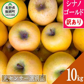 【ふるさと納税】 りんご 信州 【令和6年度先行予約品】 訳あり 10kg 5kg 3kg 果物 長野 シナノゴールド 交換保証 感謝りんご 光センサー 不揃い 規格外 傷あり 家庭用 フルーツ 林檎 5キロ 人気 黄色 11月 11月発送 R6年11月～発送予定 長野県 飯綱町