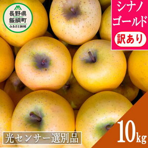 yӂ邳Ɣ[Łz  MB 󂠂 10kg 5kg 2kg ʕ  VimS[h ۏ ӂ ZT[ s KiO  ƒp t[c ь lC F 11 11 R7N11{