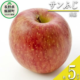 【ふるさと納税】 りんご サンふじ 秀 5kg 光センサー選別品 ながの農業協同組合 沖縄県への配送不可 令和7年度収穫分 長野県 飯綱町 〔 信州 果物 フルーツ リンゴ 林檎 長野 14500円 予約 〕発送時期：2025年12月上旬〜2025年12月下旬 {***}