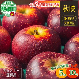 【ふるさと納税】 りんご 信州 訳あり 果物 10kg 5kg 秋映 長野 交換保証 感謝りんご 光センサー くだもの 不揃い 規格外 傷あり 家庭用 フルーツ 12000円 20000円 あきばえ 10月発送 2026年10月上旬頃~2026年10月下旬頃発送予定 長野県 飯綱町