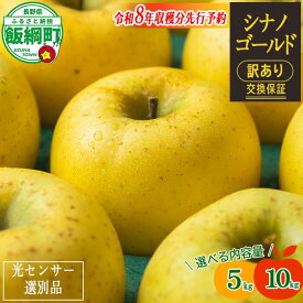 【ふるさと納税】 りんご 信州 訳あり 10kg 5kg 果物 長野 シナノゴールド 交換保証 感謝りんご 光センサー 不揃い 規格外 傷あり 家庭用 フルーツ 林檎 人気 黄色 11月 11月発送 R8年11月上旬頃～11月下旬頃発送予定 長野県 飯綱町