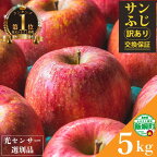  長野県 飯綱 りんご 訳あり 果物 5kg サンふじ 長野 わけあり くだもの フルーツ 交換保証 不揃い 規格外 傷 光センサー 信州 林檎 感謝りんご 5キロ 人気 ナンバー1 R6年12月 から R7年1月発送 【令和6年度予約品】 飯綱町