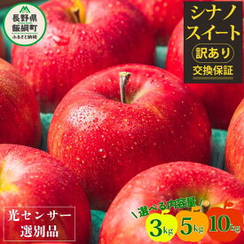 【ふるさと納税】 りんご 信州 【令和6年度先行予約】 果物 訳あり 10kg 5kg 3kg 長野 交換保証 シナノスイート 感謝りんご 光センサー くだもの 不揃い 規格外 傷 傷あり 家庭用 フルーツ 5キロ R6年 10月 〜 11月 発送 長野県 飯綱町