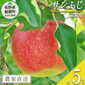 【ふるさと納税】 りんご サンふじ 家庭用 5kg 永正の地蔵尊神谷農園 沖縄県への配送不可 令和7年度収穫分 長野県 飯綱町 〔 信州 果物 フルーツ リンゴ 林檎 長野 12500円 予約 農家直送 〕発送時期：2025年12月中旬〜2026年3月上旬 {**}