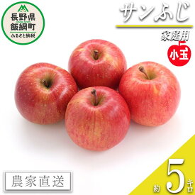 【ふるさと納税】 りんご 飯綱 サンふじ 家庭用 ( 小玉 ) 5kg 永正の地蔵尊神谷農園 沖縄県への配送不可 令和7年度収穫分 長野県 飯綱町 〔 信州 果物 フルーツ リンゴ 林檎 長野 11000円 予約 農家直送 〕発送時期：2026年1月上旬〜2026年3月上旬 {**}