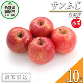 【ふるさと納税】 りんご サンふじ 家庭用 ( 小玉 ) 10kg 永正の地蔵尊神谷農園 沖縄県への配送不可 令和7年度収穫分 長野県 飯綱町 〔 信州 果物 フルーツ リンゴ 林檎 長野 17500円 予約 農家直送 〕発送時期：2026年1月上旬〜2026年3月上旬 {**}