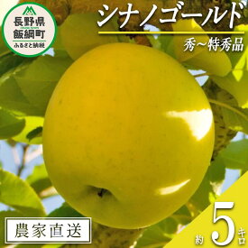 【ふるさと納税】 りんご シナノゴールド 秀 〜 特秀 5kg 永正の地蔵尊神谷農園 沖縄県への配送不可 令和7年度収穫分 長野県 飯綱町 〔 信州 果物 フルーツ リンゴ 林檎 長野 15500円 予約 農家直送 〕発送時期：2025年11月中旬〜2025年12月下旬 {***}