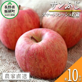 【ふるさと納税】 りんご サンふじ ( スマートフレッシュ 加工 ) 家庭用 10kg 永正の地蔵尊神谷農園 令和7年度収穫分 長野県 飯綱町 〔 信州 果物 フルーツ リンゴ 林檎 長野 24000円 予約 農家直送 〕発送時期：2026年1月下旬〜2026年5月上旬 {**}