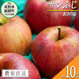 【ふるさと納税】 りんご サンふじ 訳あり 10kg 原山農園 沖縄県への配送不可 令和6年度収穫分 長野県 飯綱町 〔 傷 不揃い リンゴ 林檎 果物 フルーツ 信州 長野 17000円 予約 農家直送 〕発送時期：2024年12月中旬～2025年2月上旬{*}