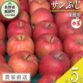 【ふるさと納税】 りんご サンふじ 家庭用 ( 小玉 ) 5kg 原山農園 沖縄県への配送不可 令和6年度収穫分 長野県 飯綱町 〔 信州 果物 フルーツ リンゴ 林檎 長野 11000円 予約 農家直送 〕発送時期：2025年1月上旬～2025年3月上旬{**}