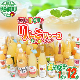 【ふるさと納税】 飯綱町の農家さんの りんごジュース 詰め合わせ 1本 2本 3本 6本 12本 ( 1本：500～1000ml 種類・容量 おまかせ ) 飲み比べ セット 沖縄県への配送不可 長野県 飯綱町 〔 飲料 果汁飲料 りんご リンゴ 林檎 ジュース 信州 〕