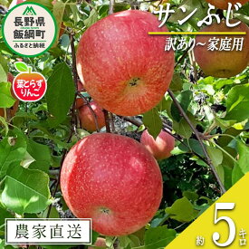 【ふるさと納税】 りんご 葉とらず サンふじ 訳あり 5kg 米澤農園 沖縄県への配送不可 令和7年度収穫分 長野県 飯綱町 〔 傷 不揃い リンゴ 林檎 果物 フルーツ ふじ 信州 長野 13500円 予約 農家直送 〕発送時期：2025年11月下旬〜2025年12月下旬 {*}