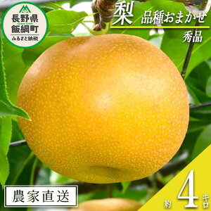 yӂ邳Ɣ[Łz  ǂ a Gi 4kg ȏ Ec_ {B ߘa7Nxn ܕsgp 쌧 эj k  Ȃ iV MB  lF2025N9{`2025N10{