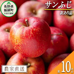 yӂ邳Ɣ[Łz  Tӂ 󂠂 10kg {{t@[ ߘa7Nxn 쌧 эj k  s 킯 S ь ʕ t[c MB  18000~ \ _ƒ l F2